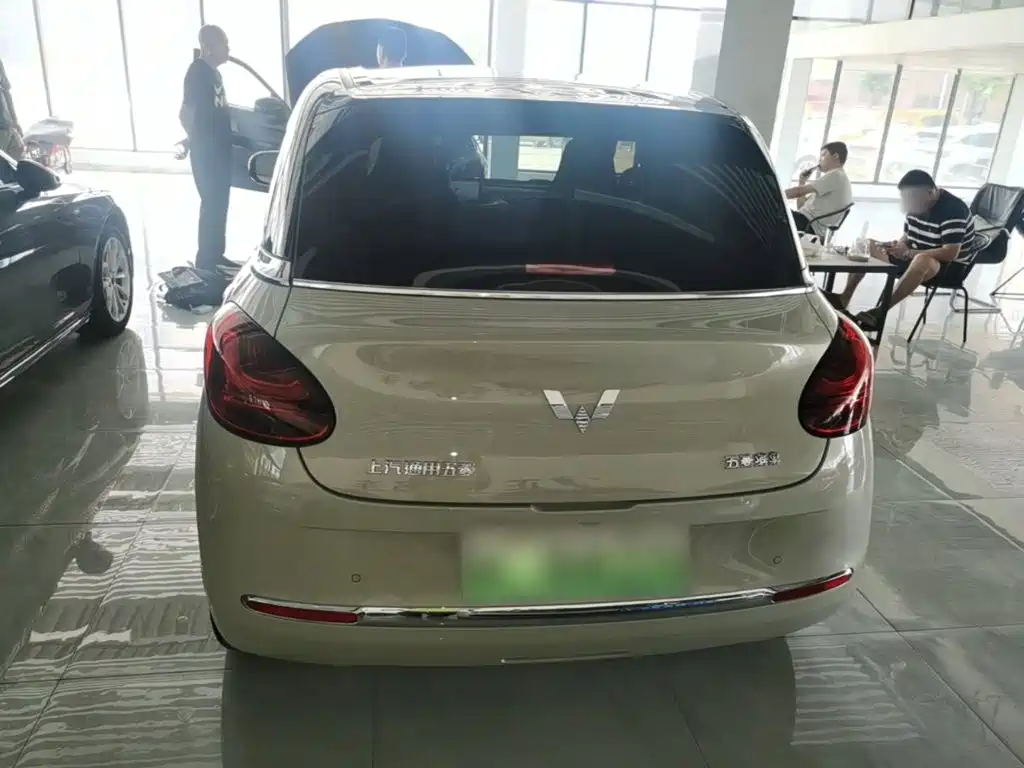 Wuling Binguo 2024 333km Enjoy