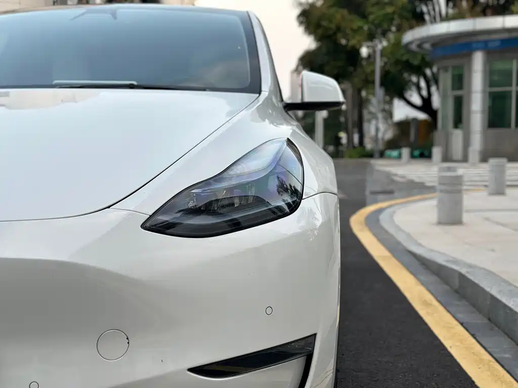 Tesla Model Y — миниатюра 15