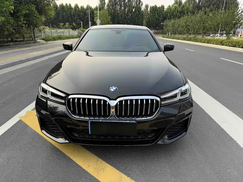 BMW 5 Series 5 2018 530Li Premium M Sport