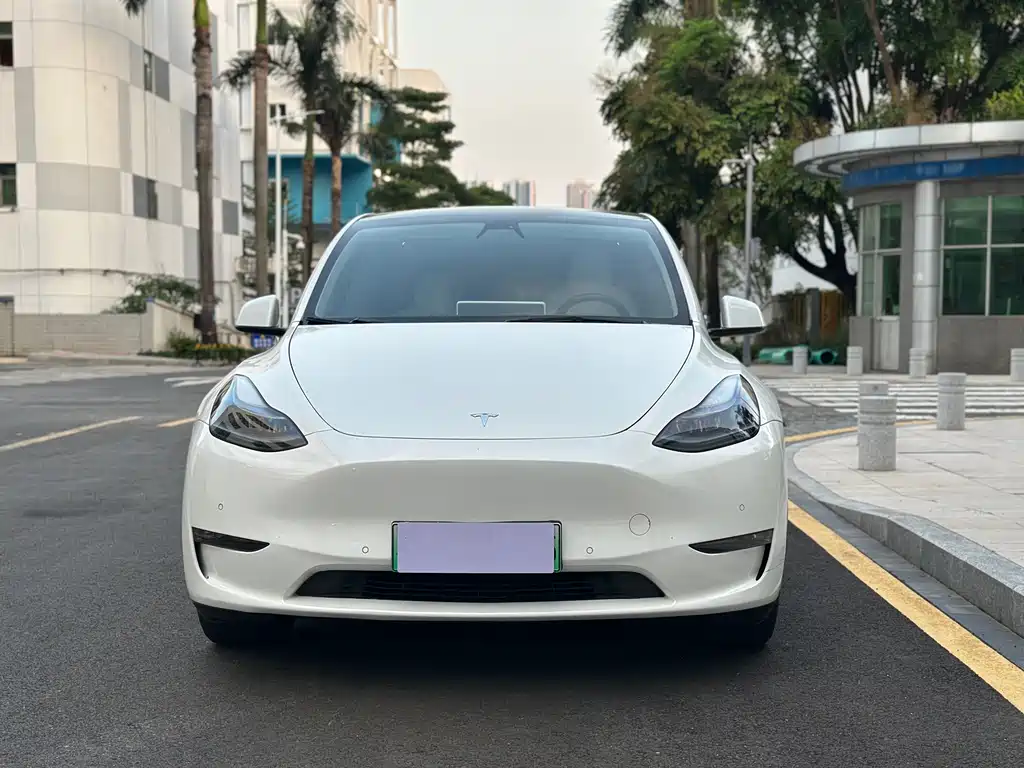 Tesla Model Y — миниатюра 2