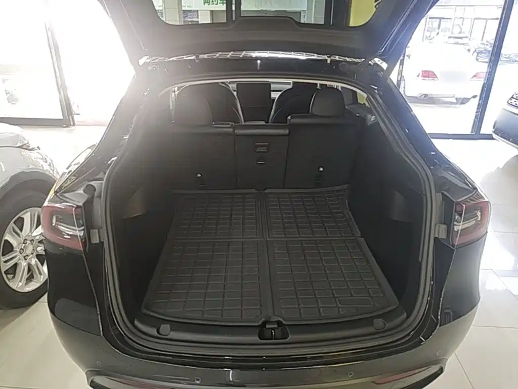Tesla Model Y — миниатюра 19