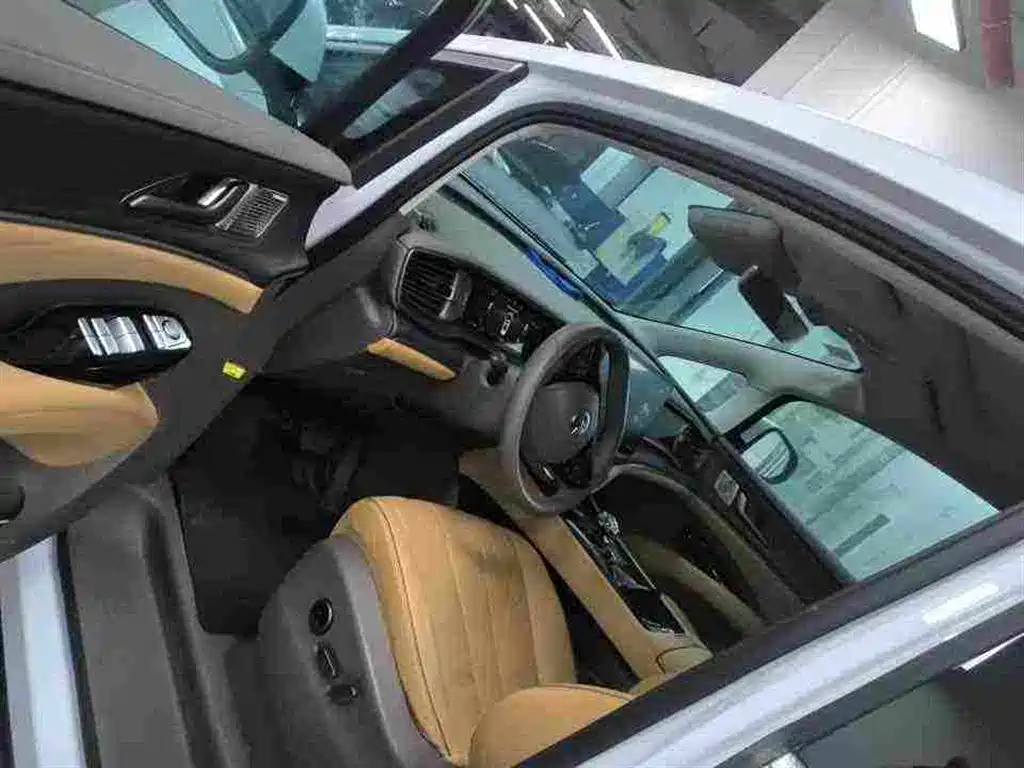 Denza Denza D9 — миниатюра 7