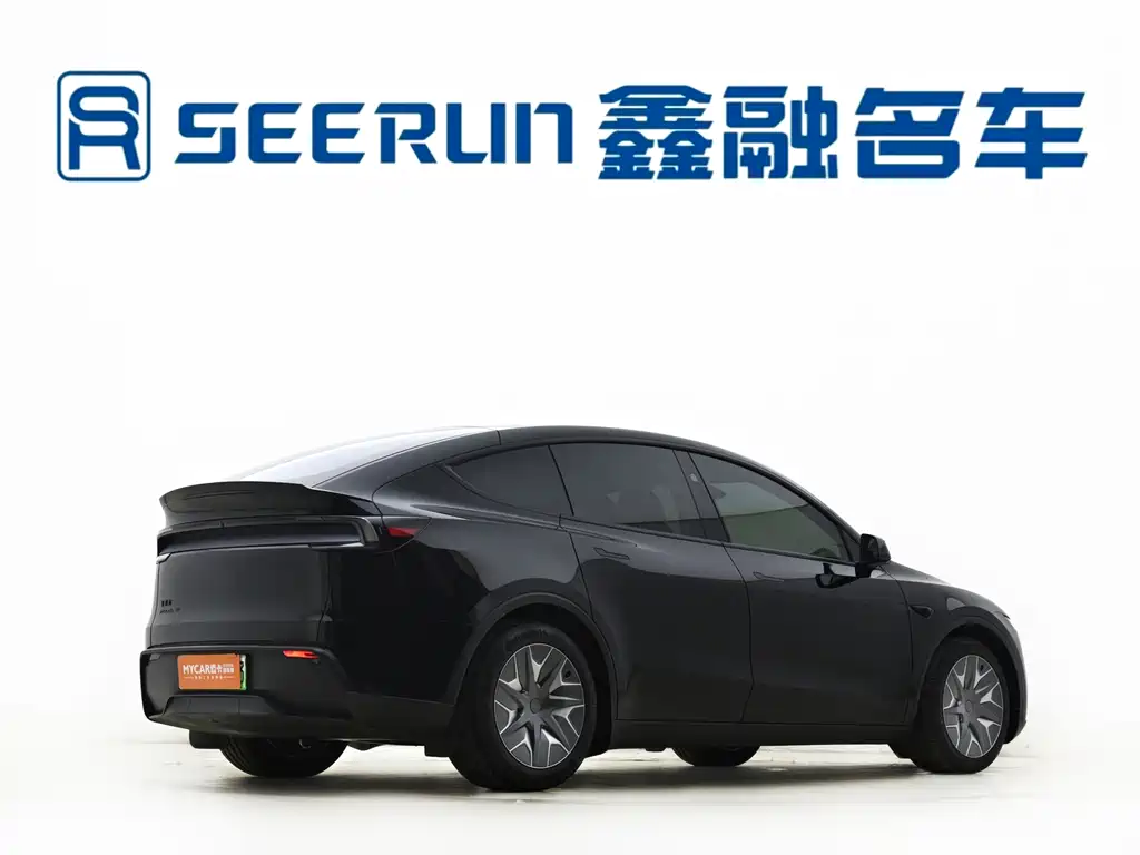 Tesla Model Y L — миниатюра 14