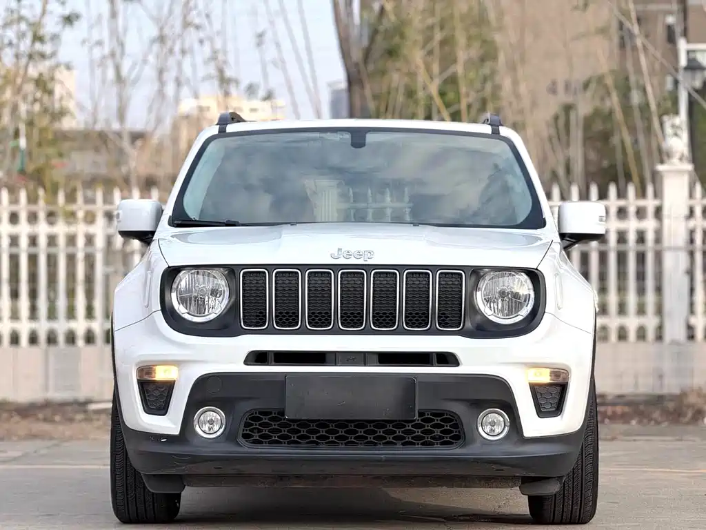 Jeep Renegade 2019 220T AT Lead