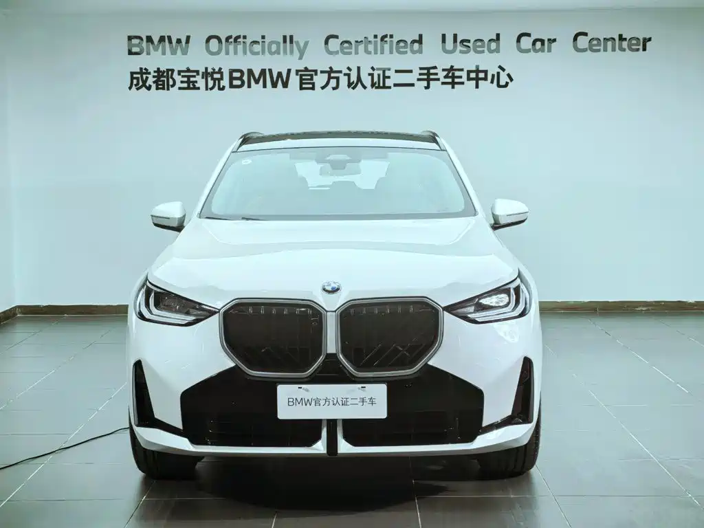 BMW X3 — миниатюра 5