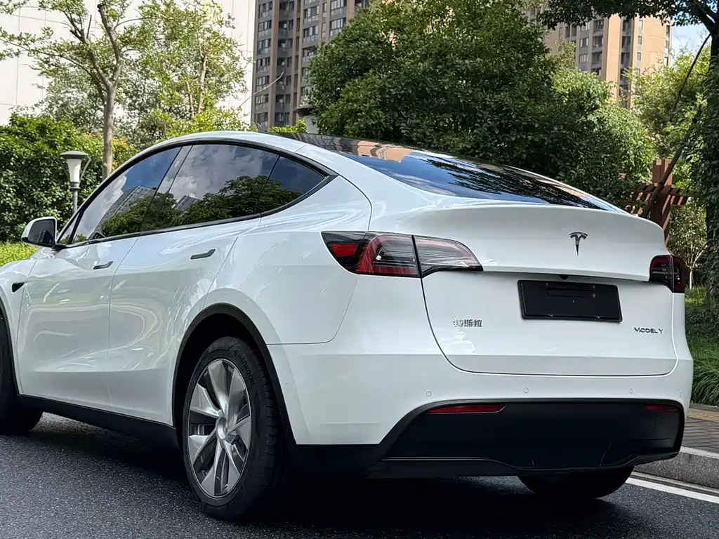 Tesla Model Y — миниатюра 12