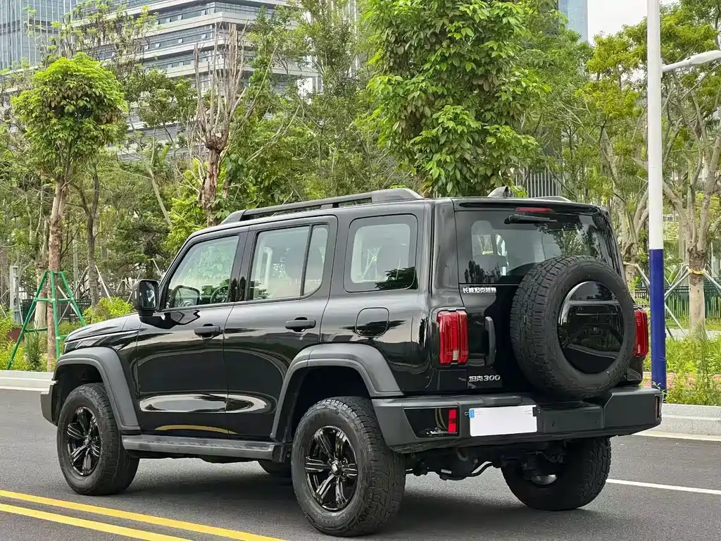Tank 300 2024 2.0T