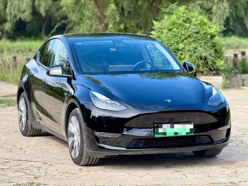 Tesla Model Y — миниатюра 3