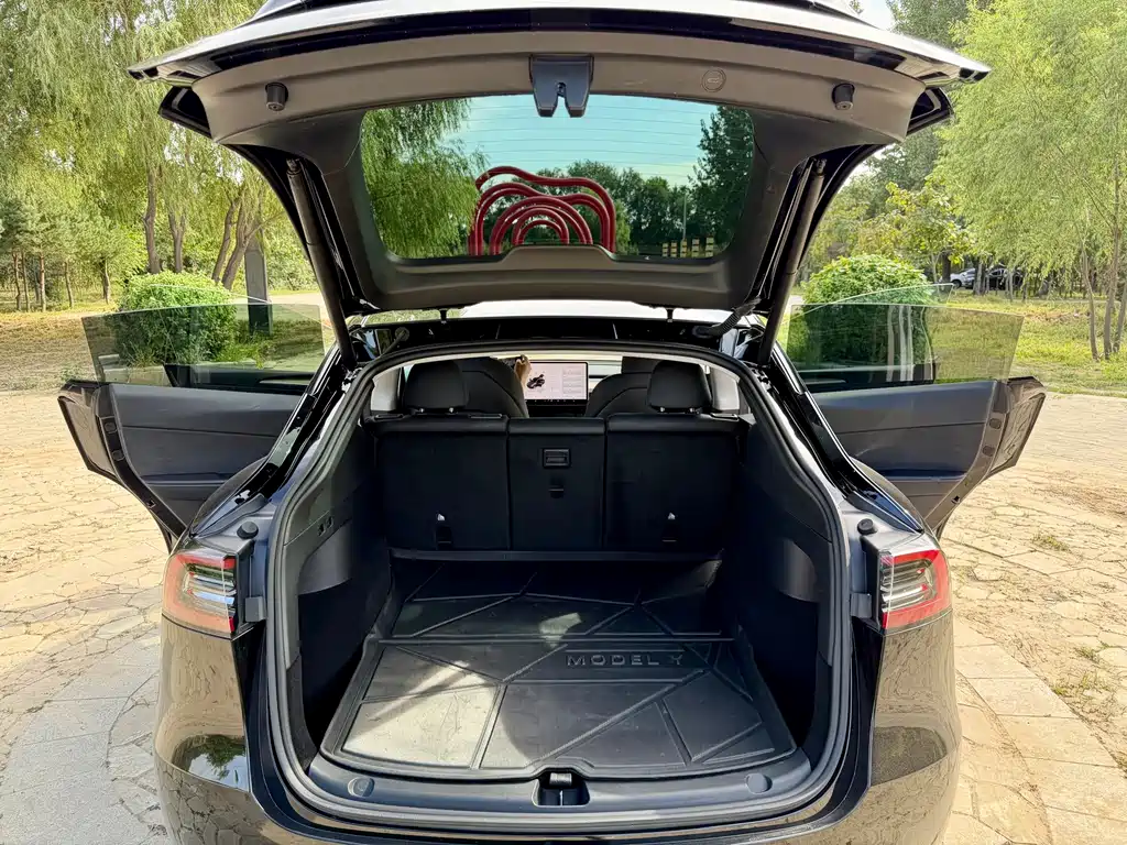 Tesla Model Y — миниатюра 16