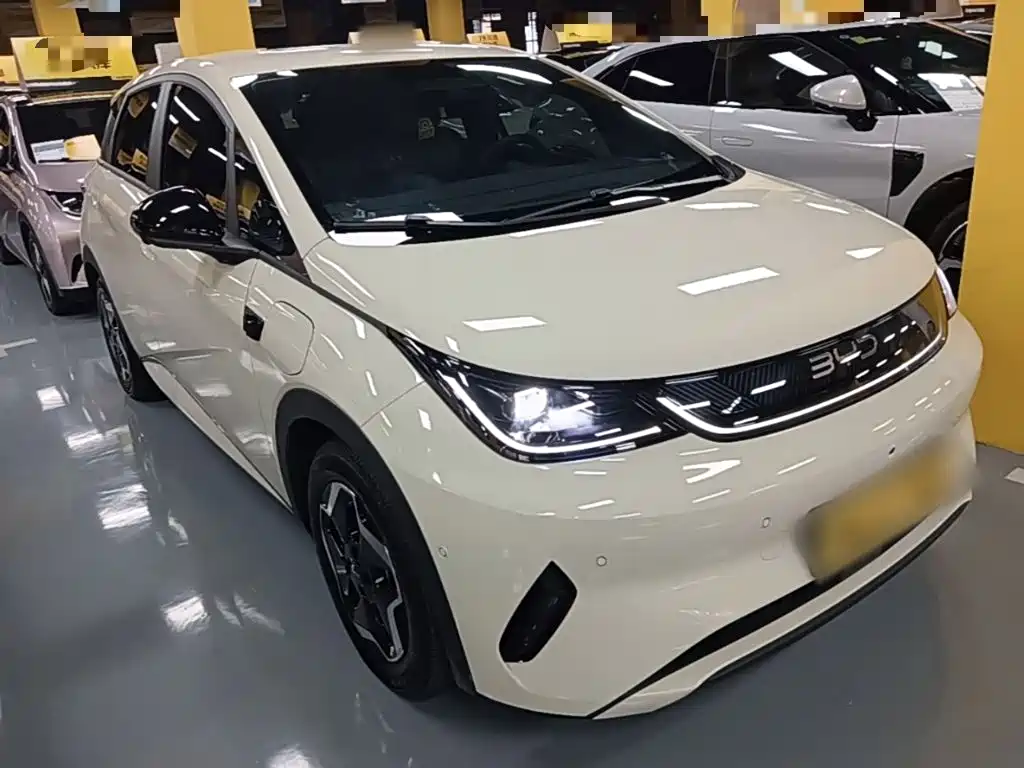 BYD Dolphin 2025 Smart Drive 420km Freedom