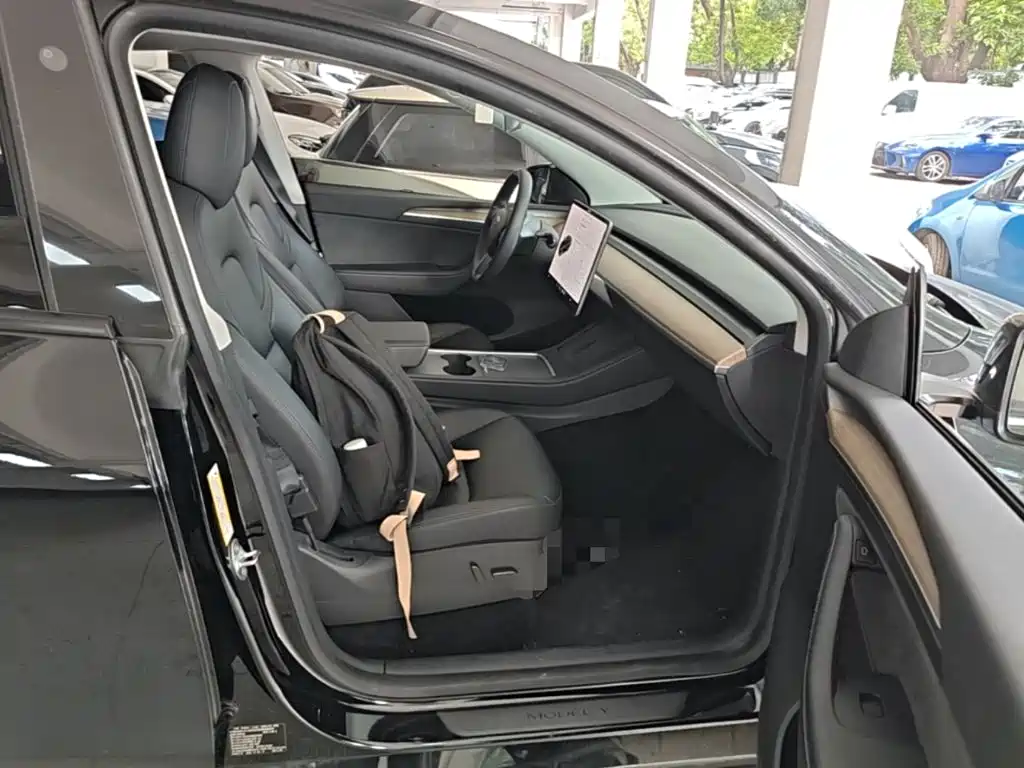 Tesla Model Y — миниатюра 9