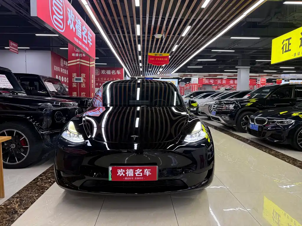 Tesla Model Y — миниатюра 2