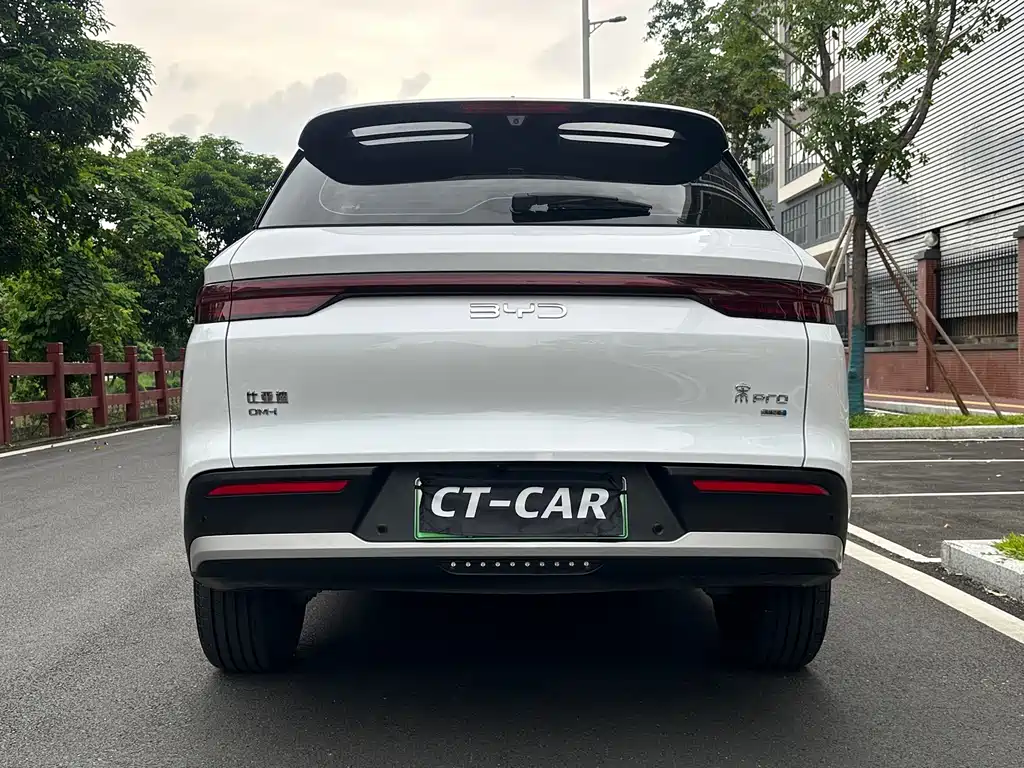 BYD Pro New Energy — миниатюра 8