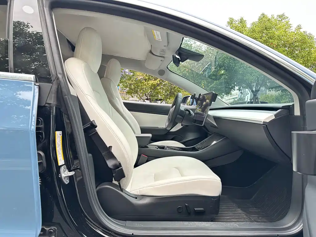 Tesla Model 3 — миниатюра 26