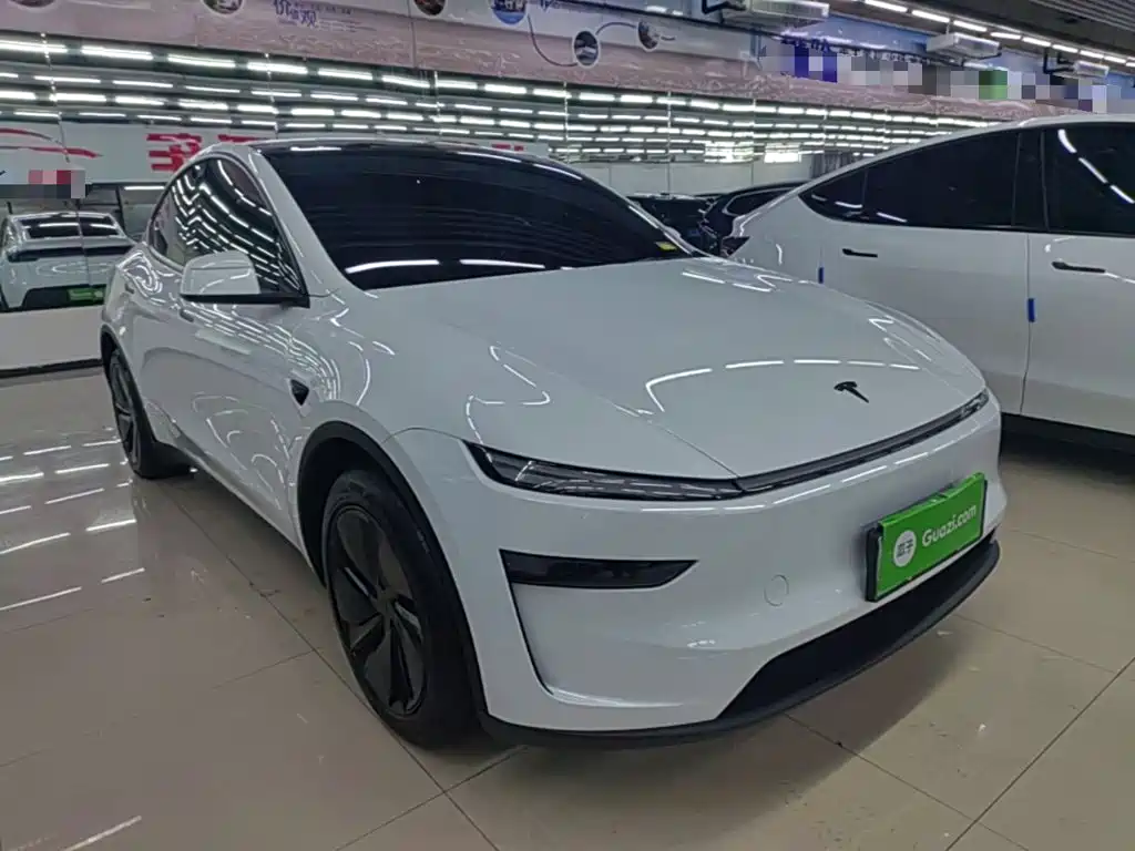 Tesla Model Y — миниатюра 4