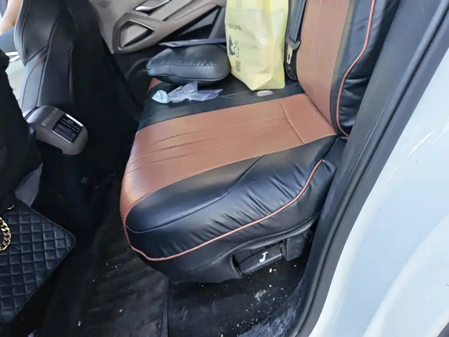 BYD Pro New Energy — миниатюра 11