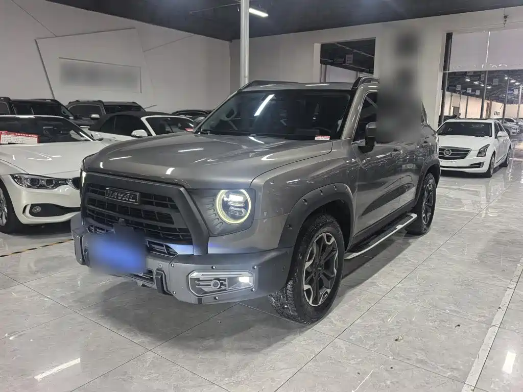 Haval Big Dog — миниатюра 2