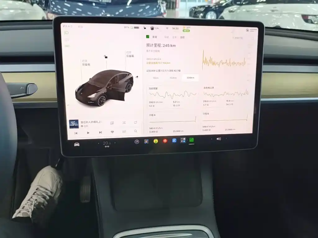 Tesla Model Y — миниатюра 13