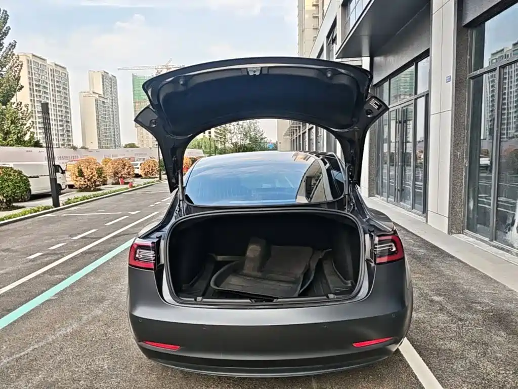 Tesla Model 3 — миниатюра 19