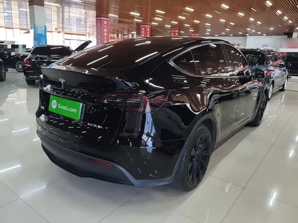 Tesla Model Y — миниатюра 7