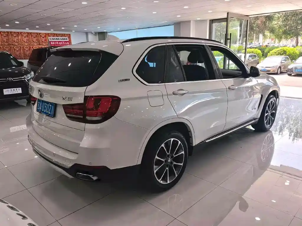BMW X5 New Energy (Import) — миниатюра 8