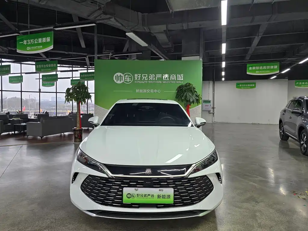 BYD QIN L