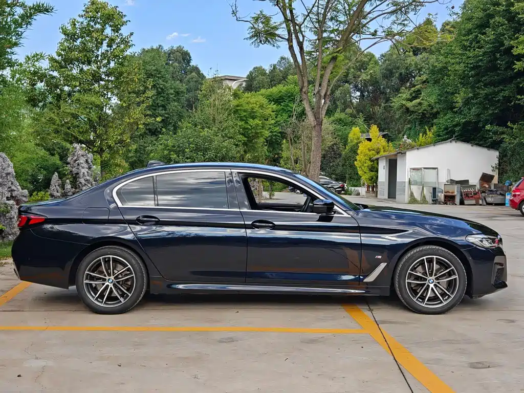 BMW 5 Series — миниатюра 8
