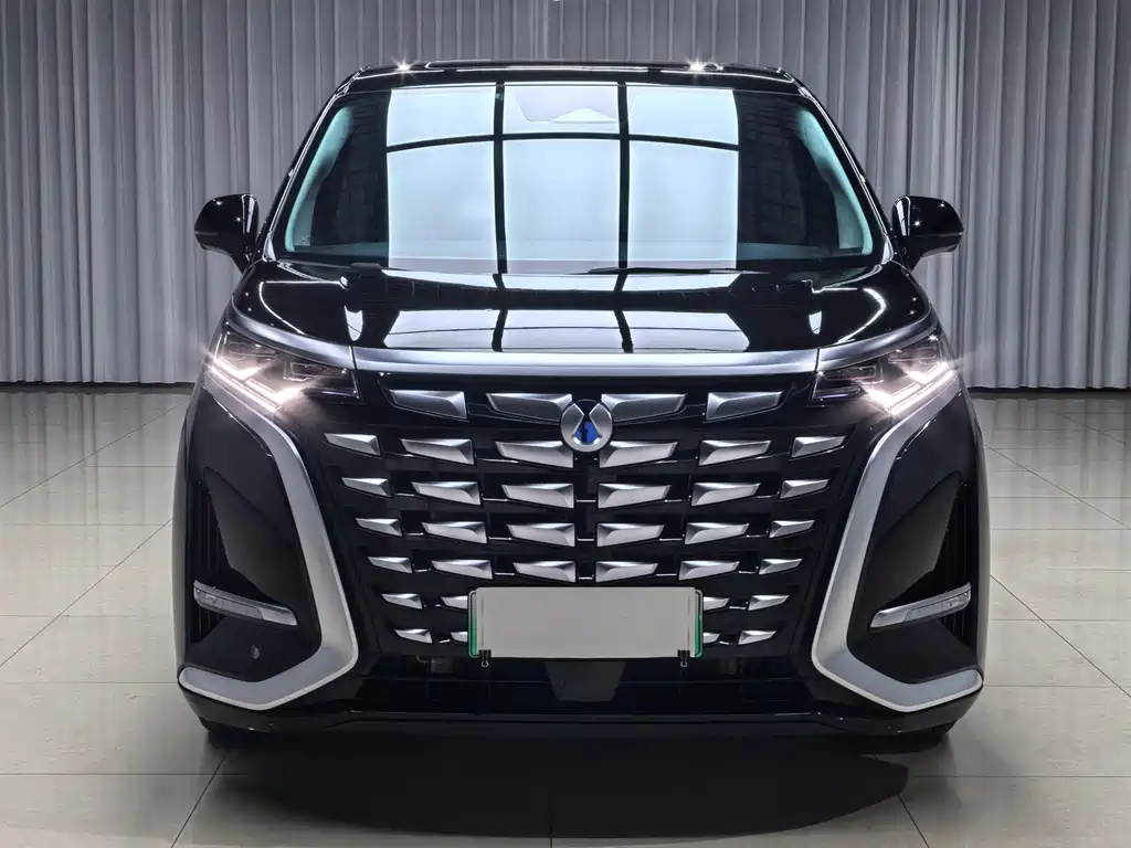 Denza Denza D9 — миниатюра 2