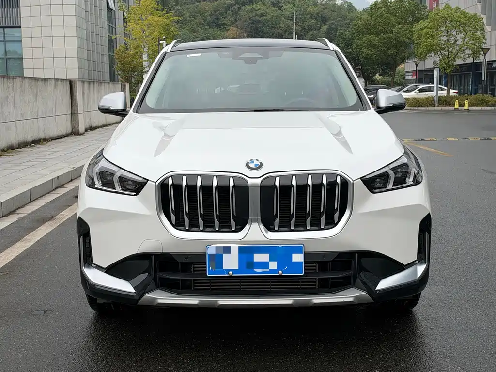 BMW X1 — миниатюра 2