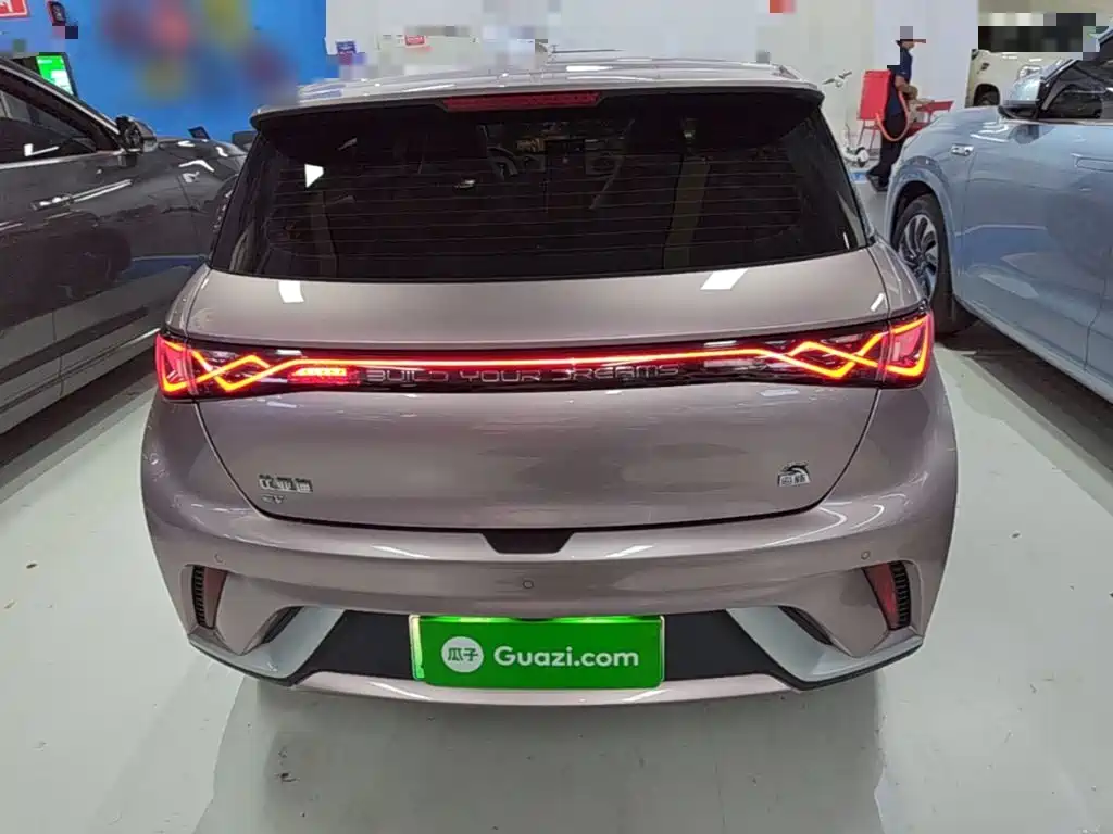 BYD Dolphin 2021 405km Fashion