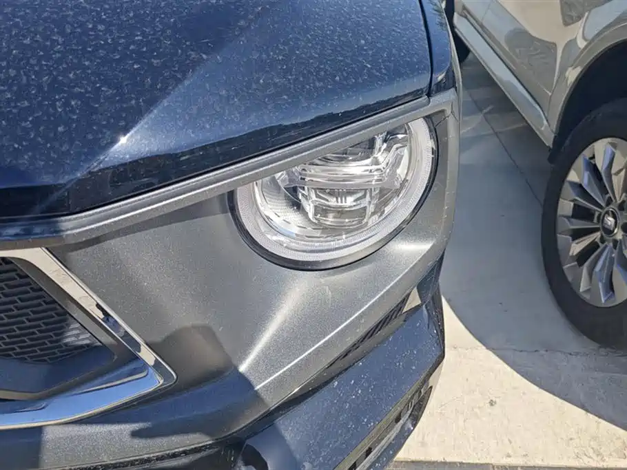 HAVAL  SECOND GENERATION BIG DOG NEW ENERGY