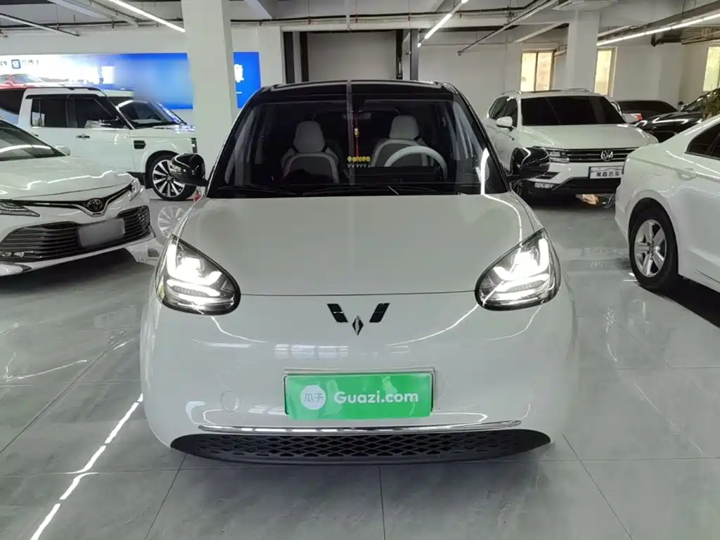 Wuling Binguo 2024 333km Enjoy