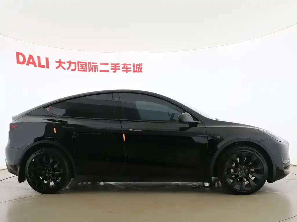 Tesla Model Y — миниатюра 4