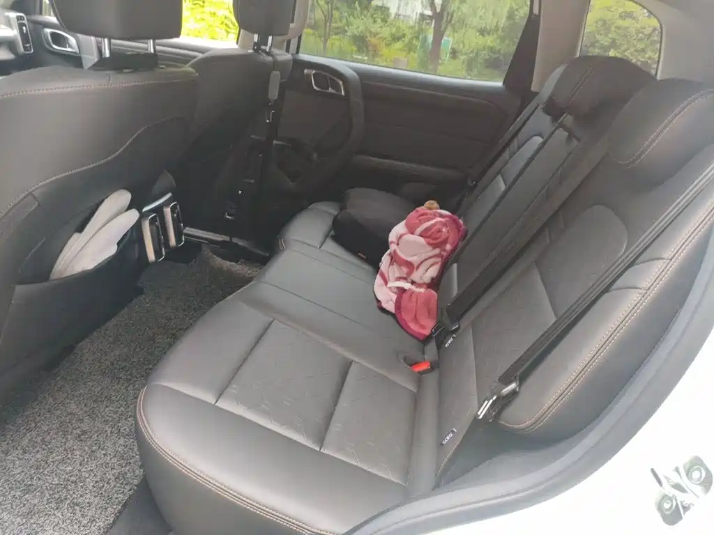 Haval Big Dog — миниатюра 13