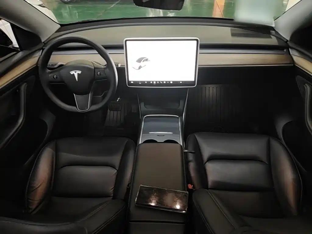 Tesla Model Y — миниатюра 10