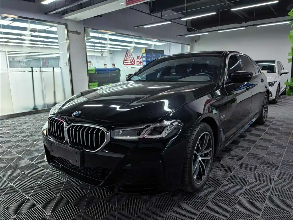 BMW 5 Series New Energy 2023