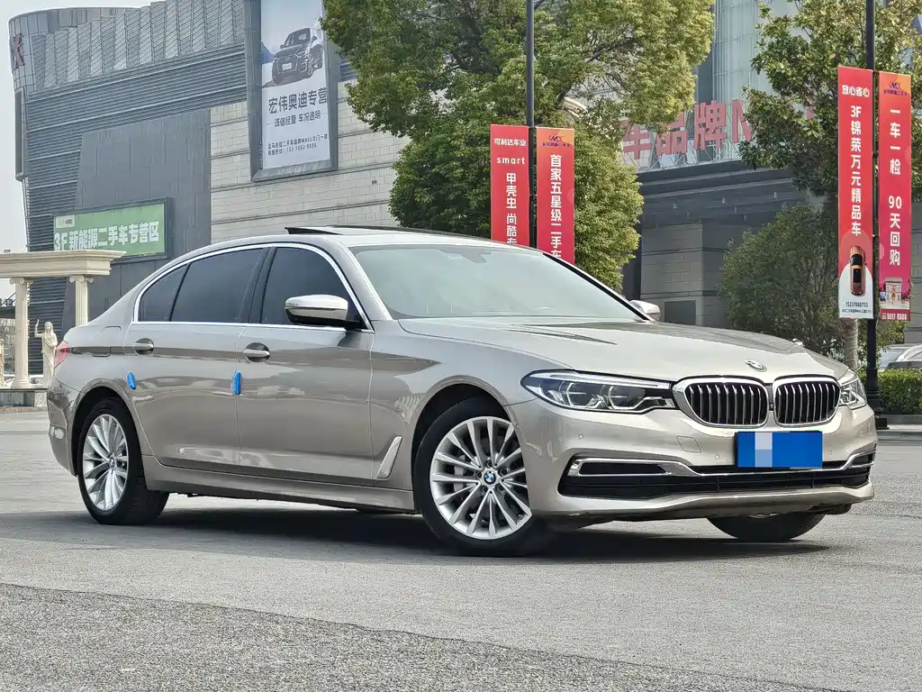 BMW 5 Series 5 2019 530Li Premium Luxury