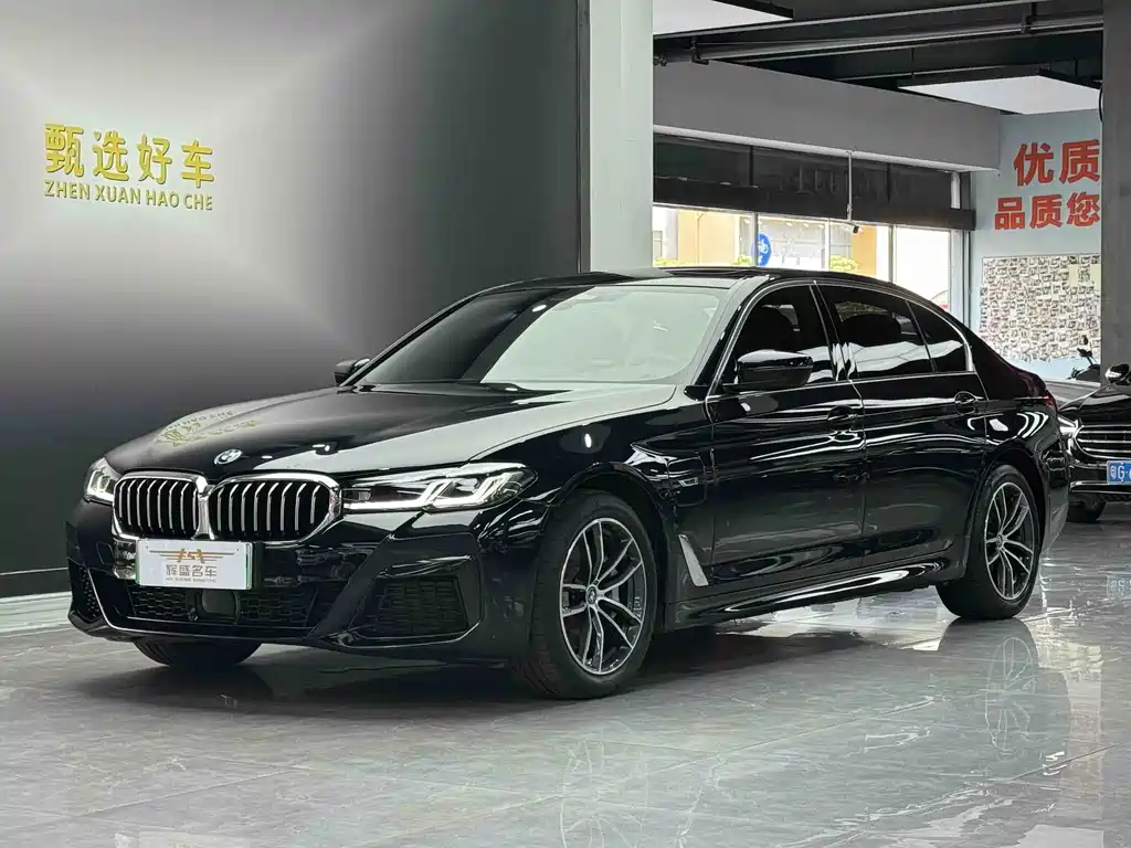 BMW 5 Series New Energy 2022