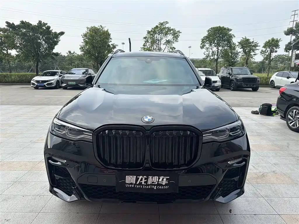 BMW X7 — миниатюра 2