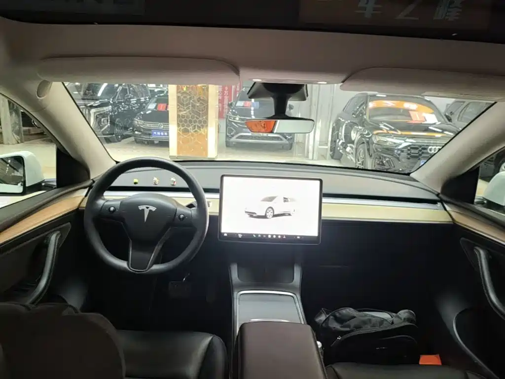 Tesla Model Y — миниатюра 10