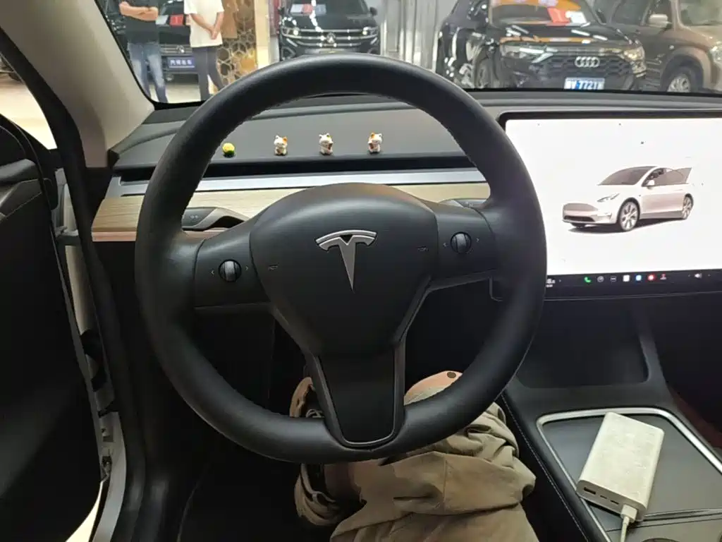 Tesla Model Y — миниатюра 11