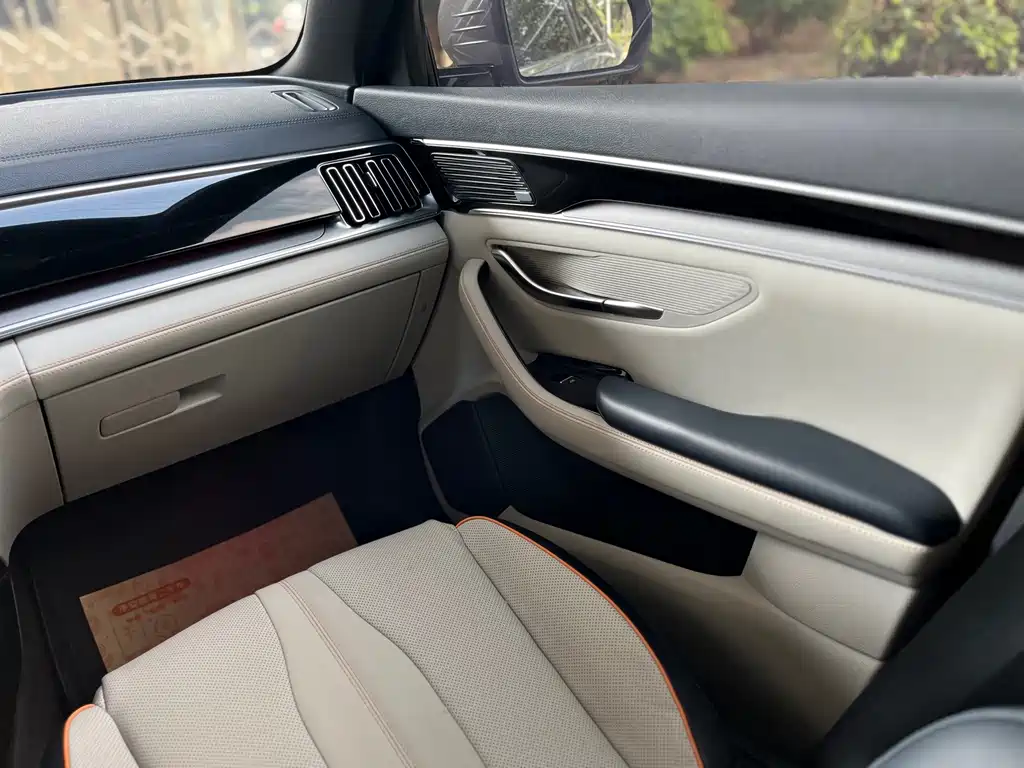 BYD PLUS New Energy — миниатюра 18