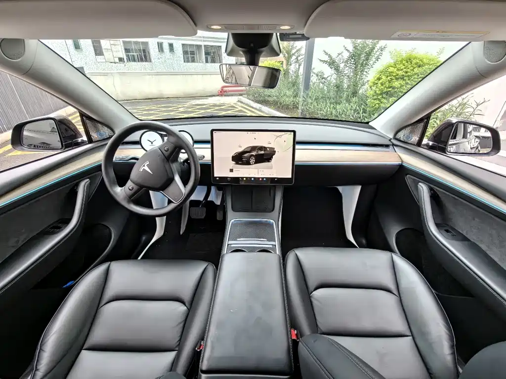 Tesla Model Y — миниатюра 6