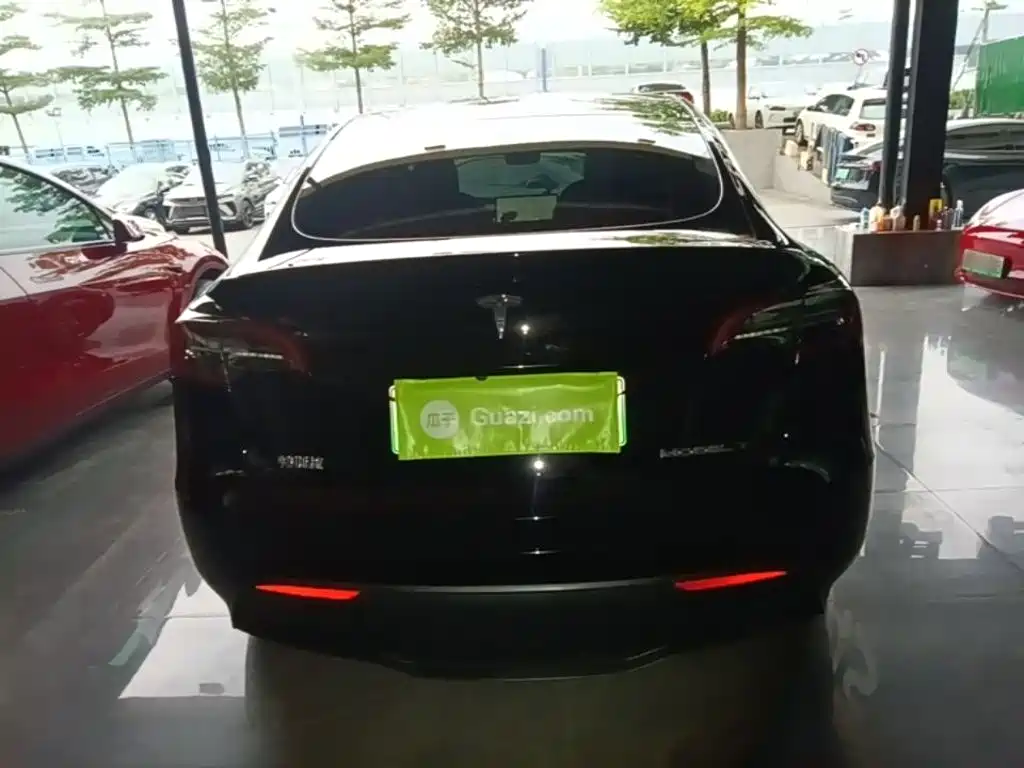 Tesla Model Y — миниатюра 6