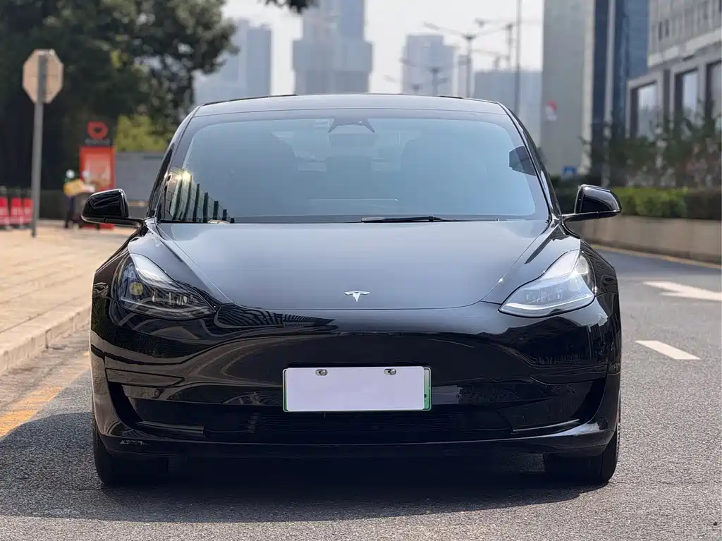 Tesla Model 3 — миниатюра 2