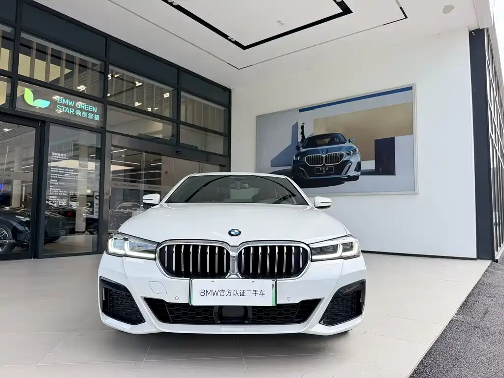 BMW 5 Series New Energy — миниатюра 3