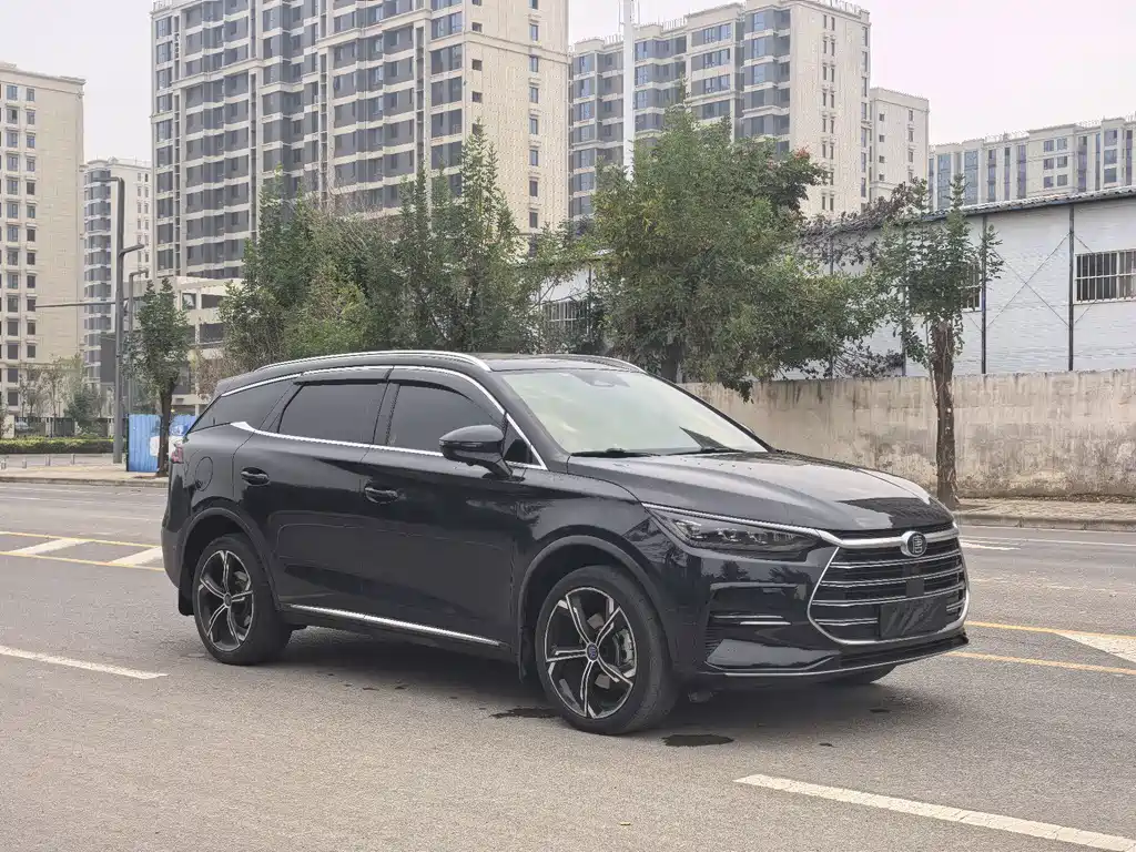 BYD Tang New Energy — миниатюра 3
