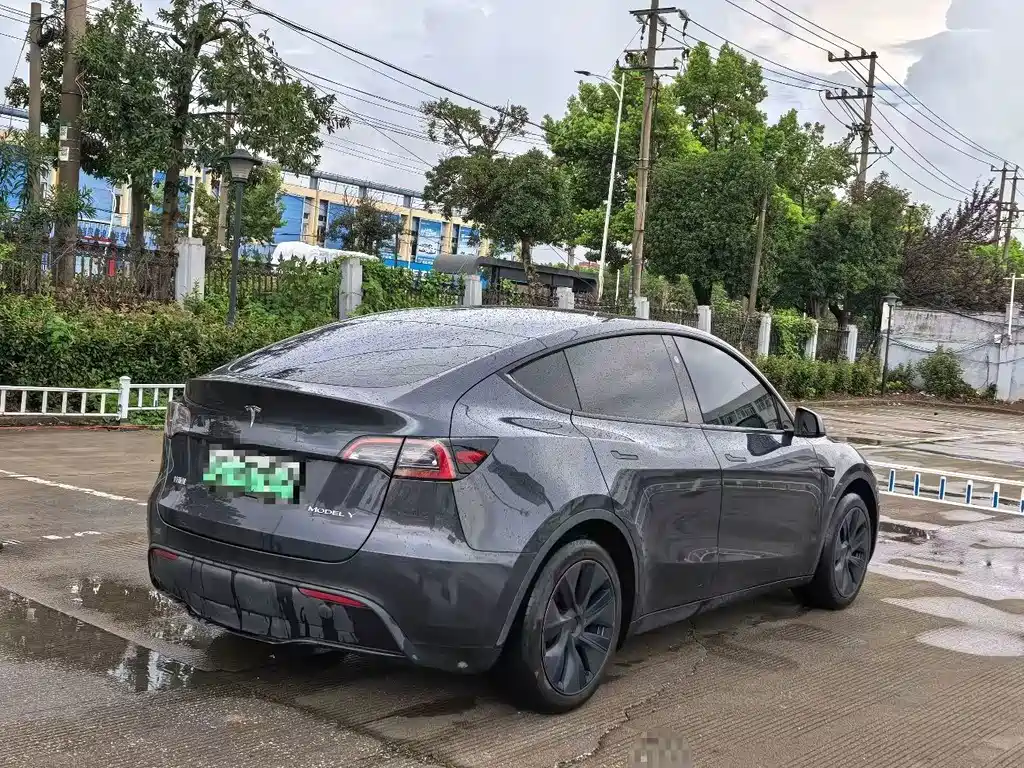 Tesla Model Y — миниатюра 4