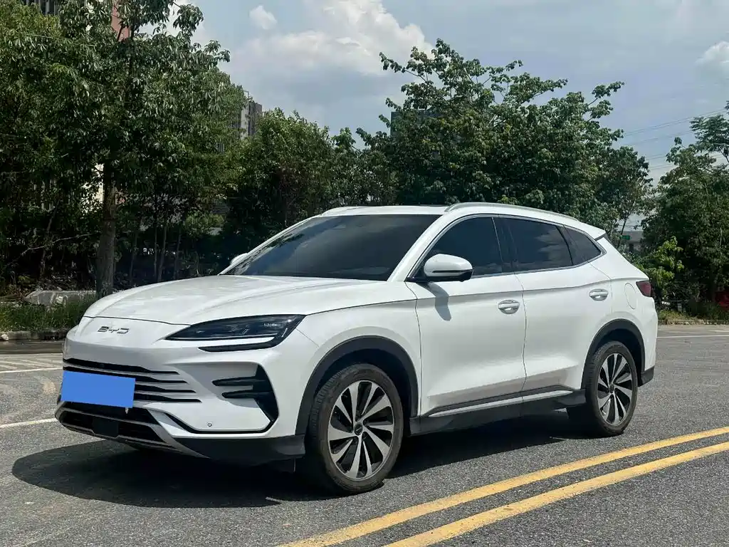 Byd PLUS New Energy 2024
