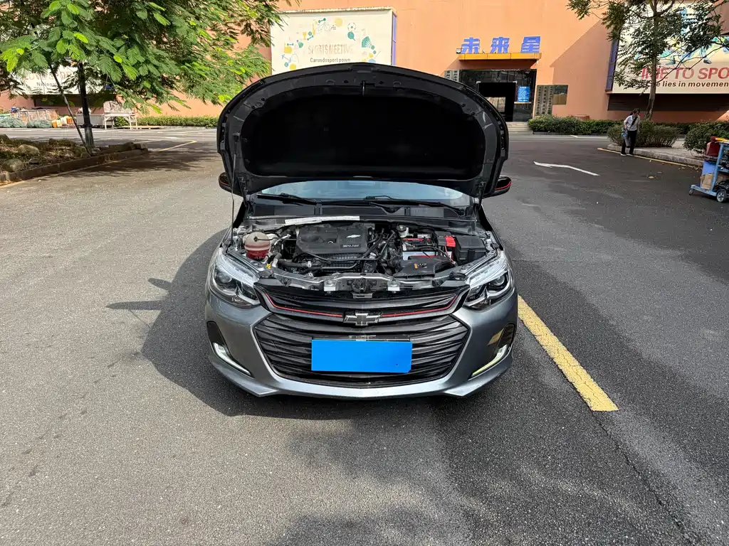 Chevrolet Cavalier — миниатюра 15